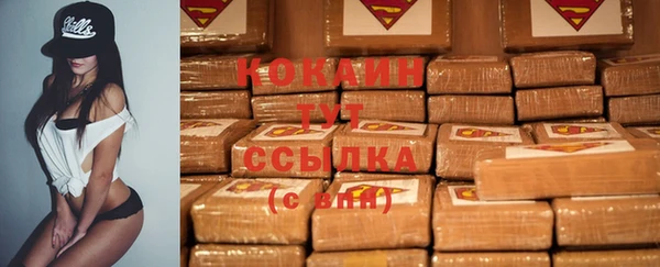spice Беломорск