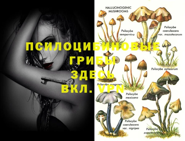 твердый Россошь