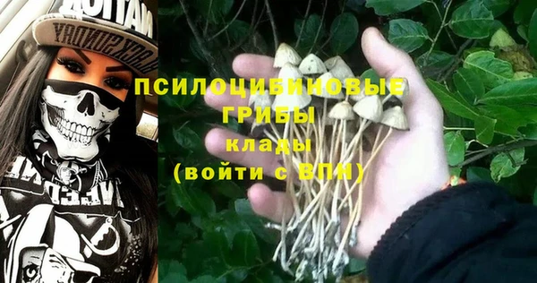 Альфа ПВП Балахна