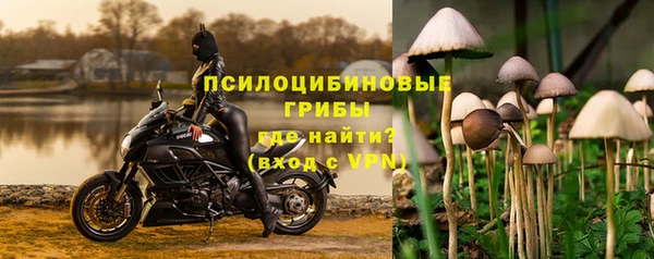 spice Беломорск