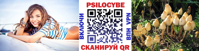 Галлюциногенные грибы Cubensis  omg   Кстово 